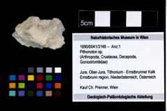 Foto (Objekt + Etikett) von Pithonoton sp.  (NHMW-GEO-1990-0041-3148)